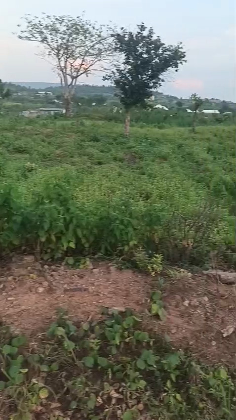 Land for sale (House of Assembly Road area)